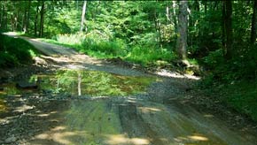 Is it a road or a pond?